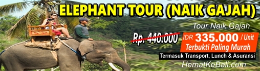 Promo Bali Elephant Tour (Tour Naik Gajah)